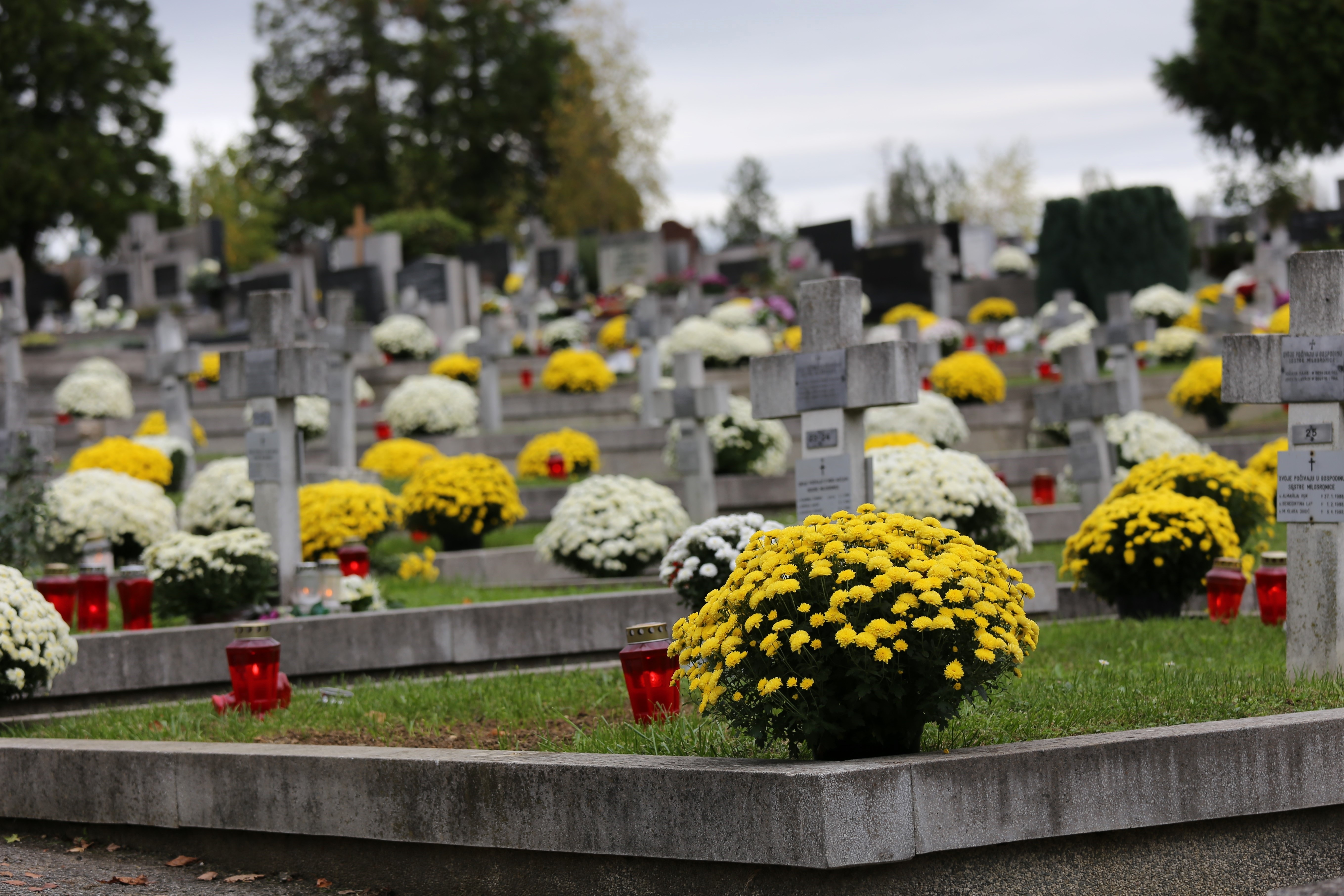goranh-cemetery-8363516